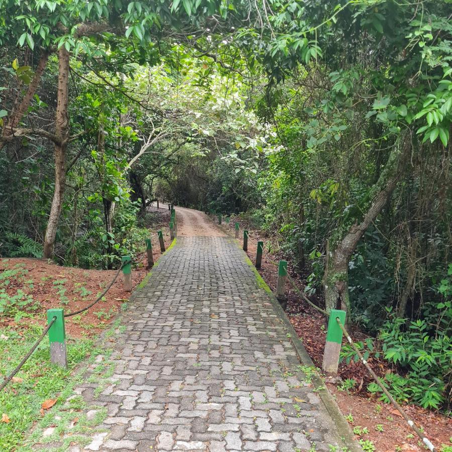 Suite Ampla No Melhor Da Barra Da Tijuca Río de Janeiro Exterior foto